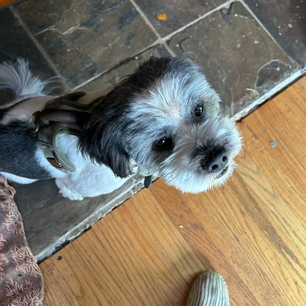 Meet your Posher, Carlos Hester